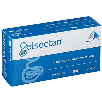 GELSECTAN 15 CAPSULE