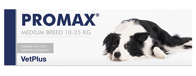 PROMAX MEDIUM BREED 18 ML