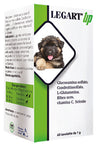 LEGART UP 60 COMPRESSE DA 1 G