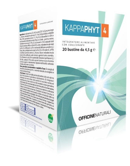 KAPPAPHYT 4 20 SACHETS OF 4.5 G