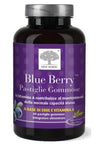 BLUE BERRY 60 GUMMIES