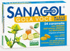 SANAGOL GOLA VOCE MIELE LIMONE 24 CARAMELLE