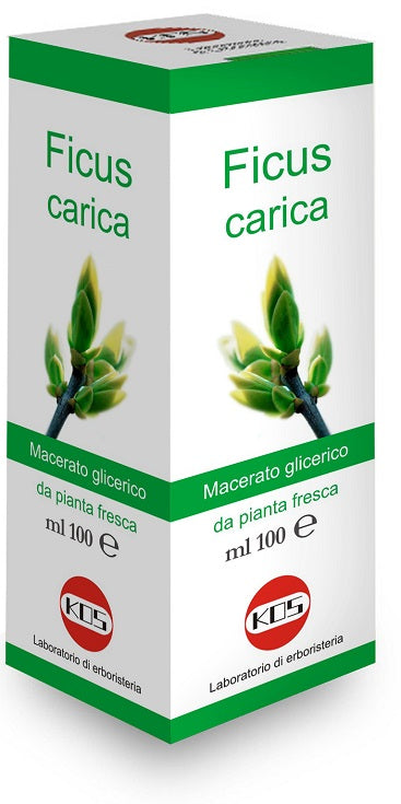 FICUS CARICA GLYCERIN MACERATE 100 ML