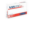 VASOX 600 30 COMPRESSE DA 1070 MG