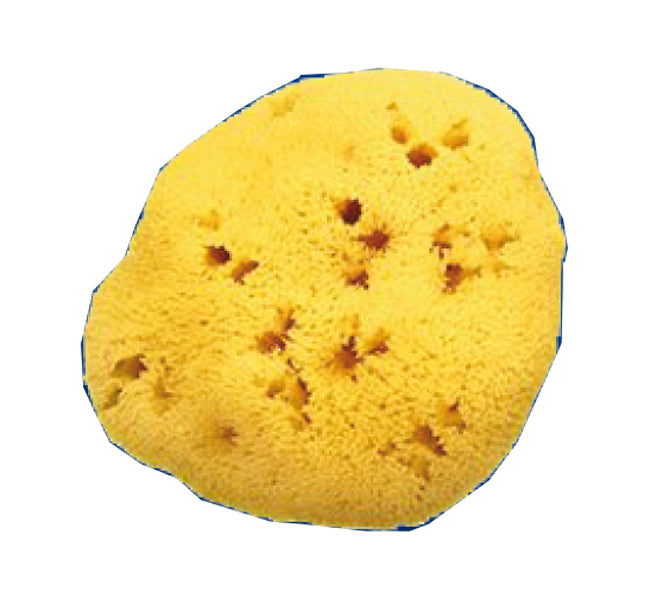 SPUGNA NAT FORI L 8/9 5 CM