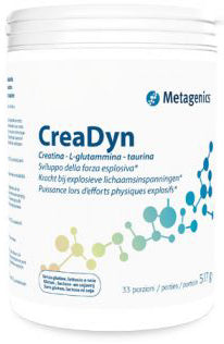 CREADYN 33 PORZIONI 293 G