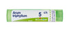 ARUM TRIPHYL BOI*5CH GR 4G